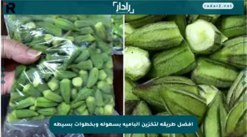 أفضل طريقة لتخزين البامية بسهولة وبخطوات بسيطة